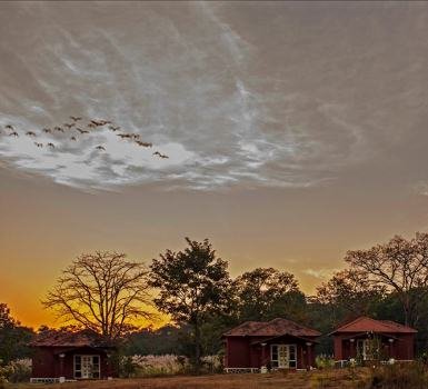 Dandeli-Chalet-4-thumbnail