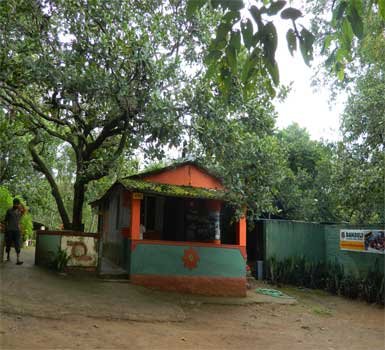 Dandeli-Chalet-1-thumbnail