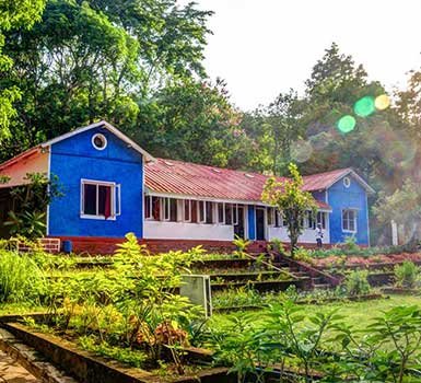 Wild-Flower-Homestay-1-thumbnail