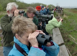 Bird-Watching-1