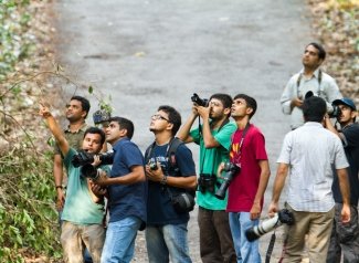 Bird-Watching-2