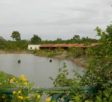 century-resort-2-thumbnail