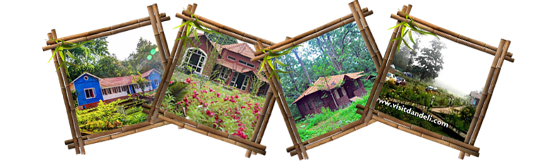 Homestays