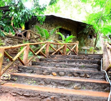 hornbill-resort-2-thumbnail