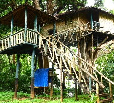 hornbill-resort-4-thumbnail
