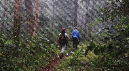nature-walk