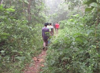 Nature-Walks-1