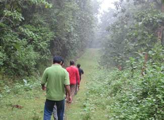 Nature-Walks-2