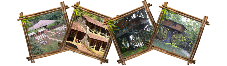 Resorts