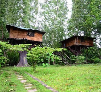 shikra-resort-2-thumbnail